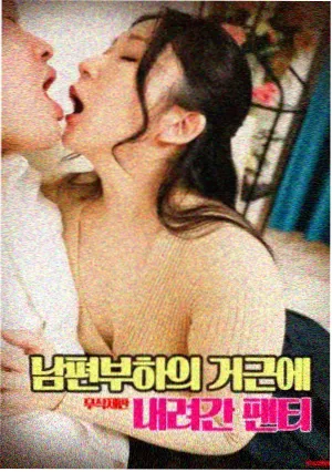 冬夜列车电影封面